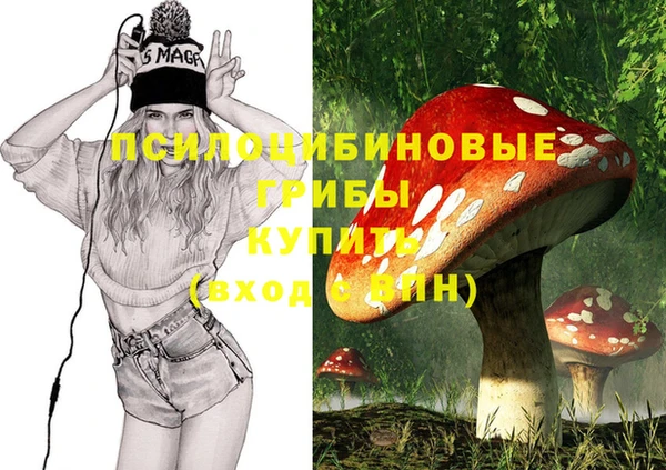 кристаллы Заволжье