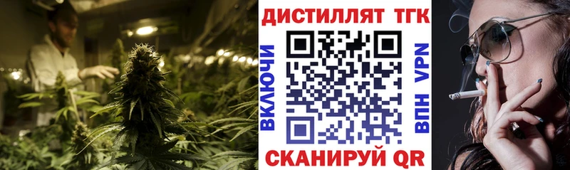 закладки  Шилка  ТГК THC oil 