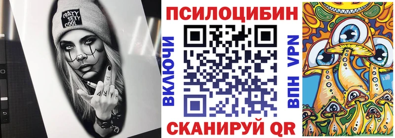 Псилоцибиновые грибы Psilocybe где купить Шилка