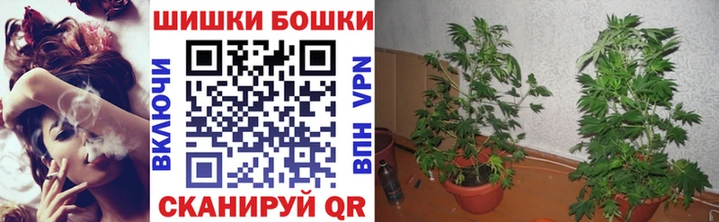 Каннабис SATIVA & INDICA  Шилка 